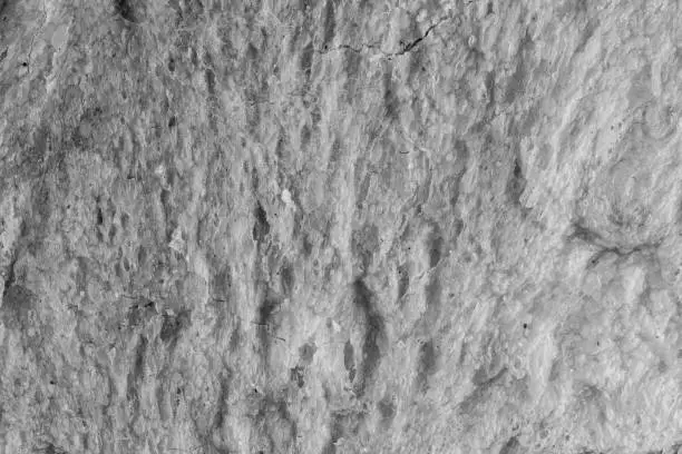 Close up photo of the outside of white bread in monochrome