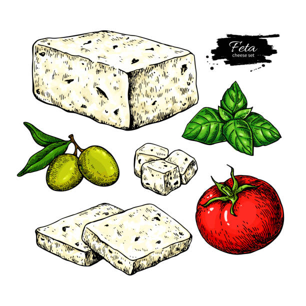 illustrations, cliparts, dessins animés et icônes de bloc de fromage feta grec, dessin en tranches. croquis de nourriture dessiné à la main de vecteur avec l’olive, le basilic, la tomate. - fetta cheese