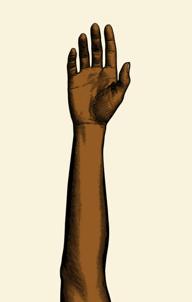 Brown engraving human neutral hand up illustration on bright BG Vintage color engraved drawing raised up black skin female human hand vector illustration front view isolated on white beige background forearm stock illustrations