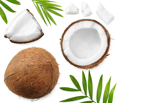 istock Coconut with green leaves isolated on white background. top view 1252674843
