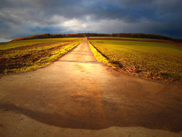 Colorful landscape in autumn