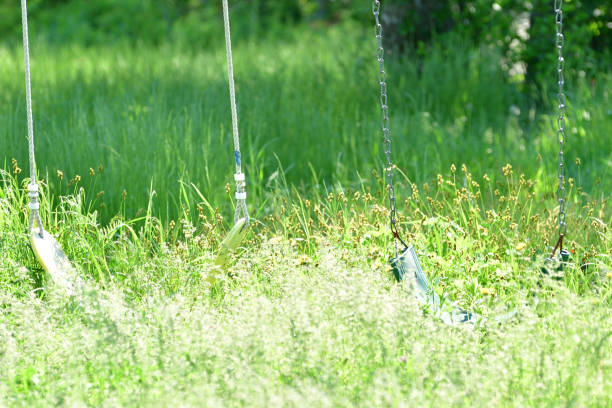 Swing Hanging in Long Grass Close Up Abstract