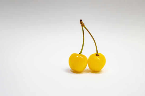 istock yellow cherry on a white background 1252680760