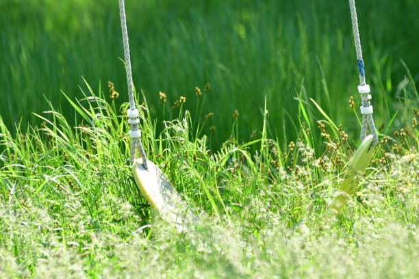 Swing Hanging in Long Grass Close Up Abstract