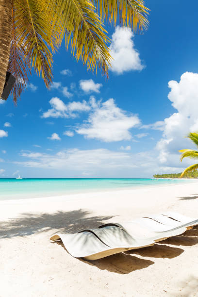 istock Beach scene with sunbeds under coconut palms 1252682881