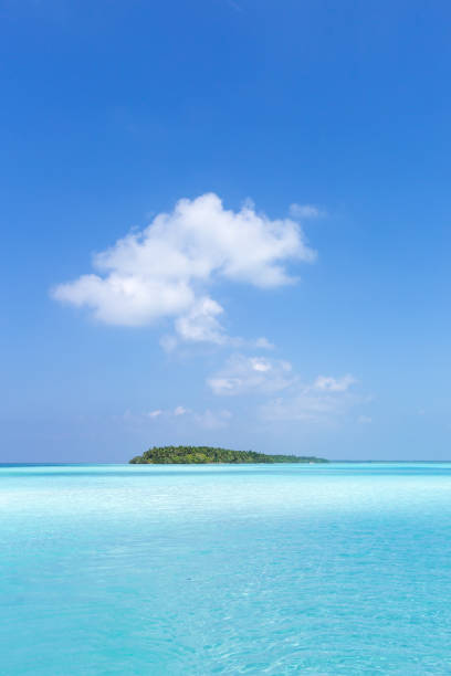 istock Amazing tropical island with coconut palms 1252683264