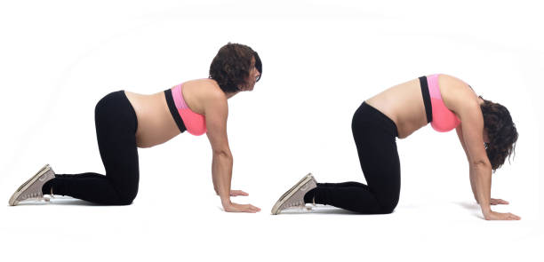 Portrait of a pregnant woman pregnant woman doing yoga bidalasana exercises star stop on white cat pose yoga stock pictures, royalty-free photos & images