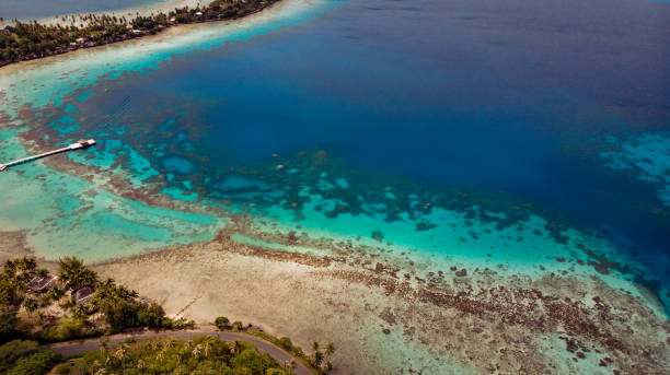 istock aerial view upon tropical beach 1252688887