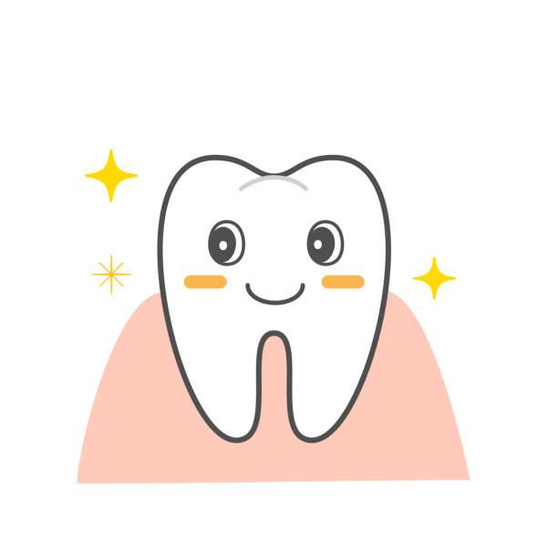 choroba przyzębia krwawiąca pasta do zębów - human teeth gums dental hygiene inflammation stock illustrations