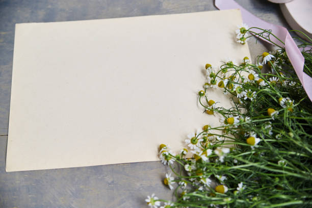 istock Flat lay picture with camomiles 1252691539