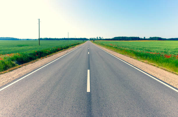 istock Asphalt road between agricultural fields of Latvia 1252691878