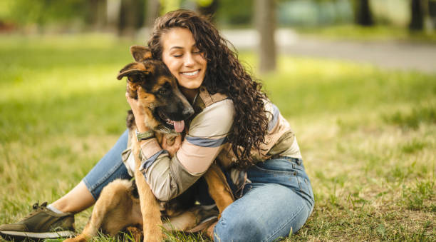 happy young woman playing with her dog on the grass in park - german shepherd imagens e fotografias de stock