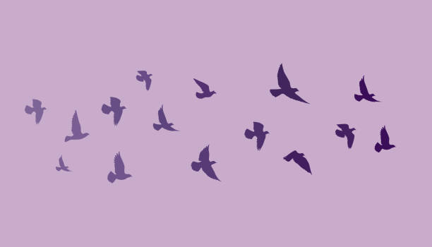 istock Flying birds silhouettes on white background. Vector illustration. isolated bird flying. tattoo design. 1252697415