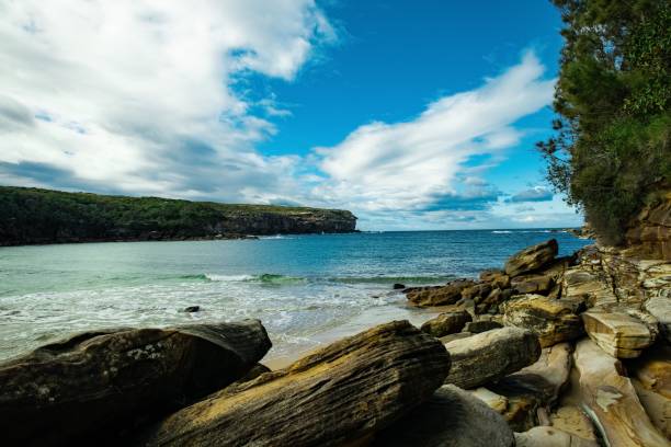 istock Panoramic views of Wattamolla Beach with waterfall tress turquoise blue waters and nice white sandy beach in sydney NSW Australia 1252699546