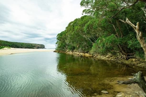 istock Panoramic views of Wattamolla Beach with waterfall tress turquoise blue waters and nice white sandy beach in sydney NSW Australia 1252699604