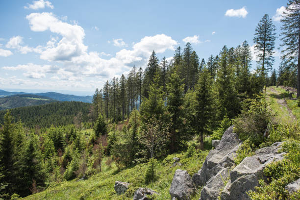 istock landscape at Silberberg Todtnau 1252701392