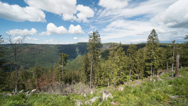 istock landscape at Silberberg Todtnau 1252701576