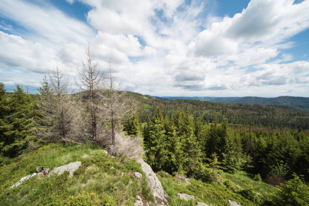 istock landscape at Silberberg Todtnau 1252701699