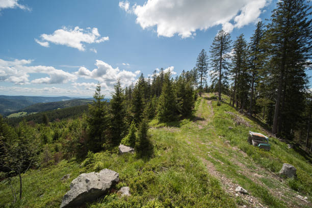landscape in the black forest in Germany, at silver mountain 1358.9 m above sea level near Todtnau.