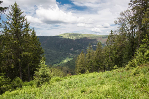 istock landscape at Silberberg Todtnau 1252701782