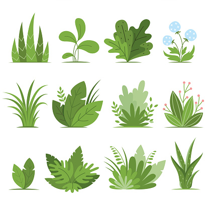 Bushes, plants and herbs design elements set in modern cartoon style isolated on white background