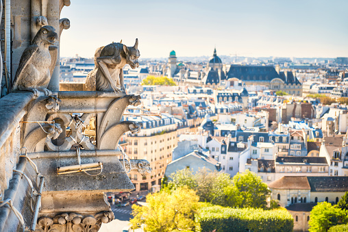 Gargoyle statue on Notre Dame de Paris cathedral in France