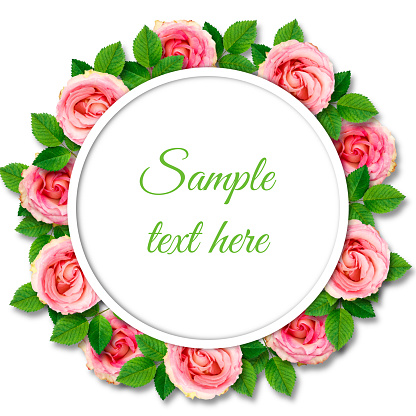Vintage frame of pink roses with leaves on a snow-white background. Flowers are located under the 3d circle. Natural background for design. Greeting card.