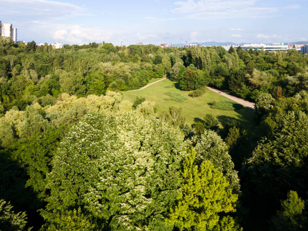 istock Aerial view of South Park in Sofia, Bulgaria 1252704716