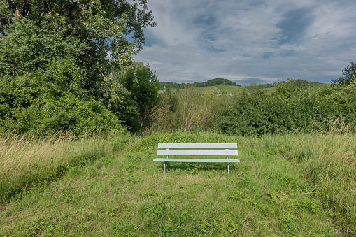 Green bench at Winterhausen river Main, Germany