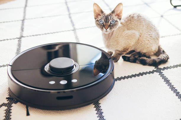 istock Modern vacuum cleaner with in-built camera and smart sensor technology is cleaning white carper in living room. 1252707706