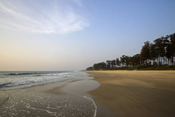 고아, 인다의 버려진 콜바 비치 - colva beach 뉴스 사진 이미지