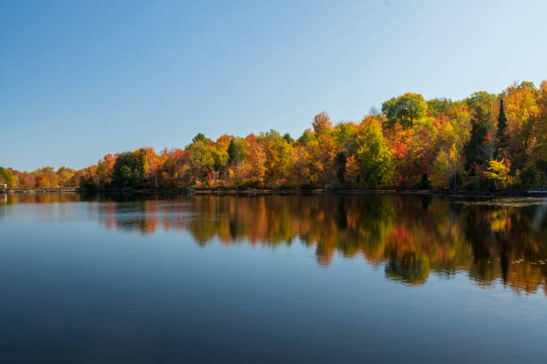 istock Foliage colours in Ontario 1252709713