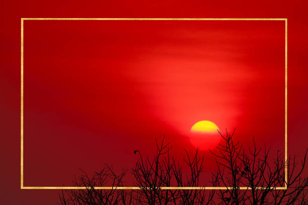 border gold sunset back on silhouette dry tree dark red cloud on the sky, concept photo luxury interior on wall