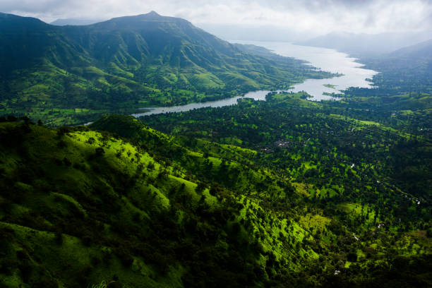 zielone wzgórza lonavala zastrzelony w porze deszczowej - sun fog sky river zdjęcia i obrazy z banku zdjęć