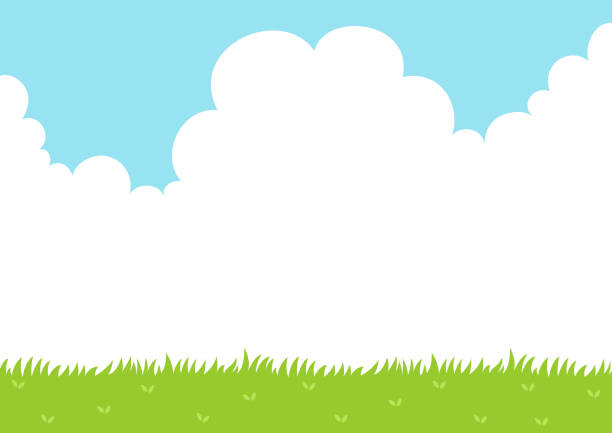 하늘과 잔디 필드 배경 - vector grass stock illustrations