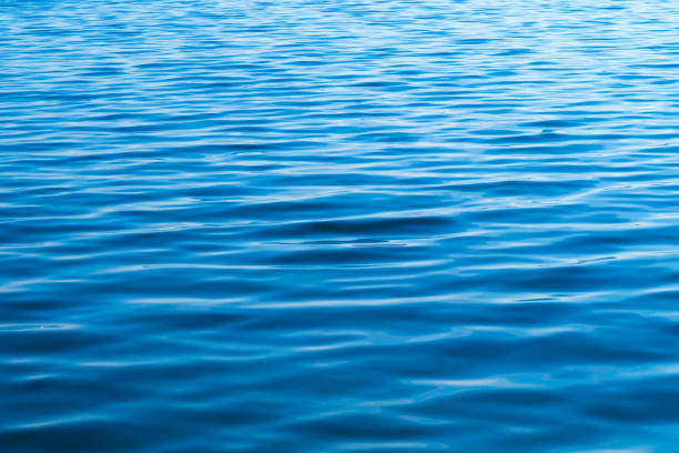istock Expanse of water, surface, waves, natural blue background 1252716558