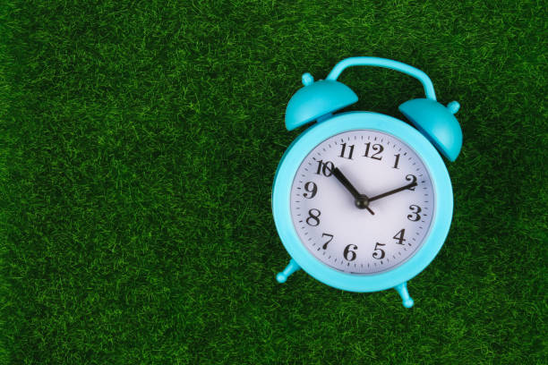 istock Alarm clock on grass or lawn background - time concept. 1252718494