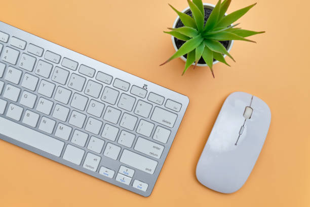 istock Workplace with a mouse, keyboard and plant on an orange background. Top view. 1252718844