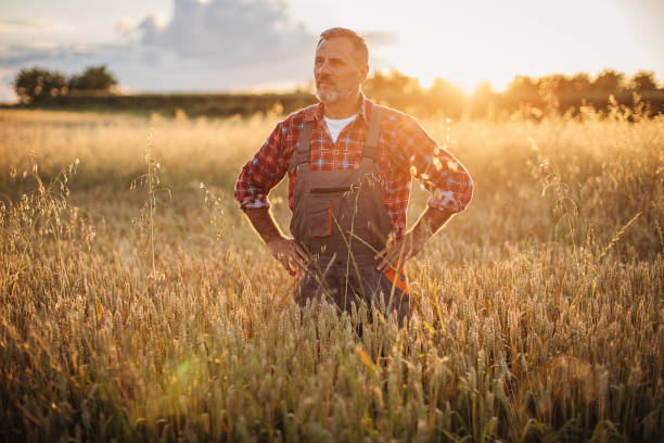 istock One senior rancher in the wheat field 1252720535