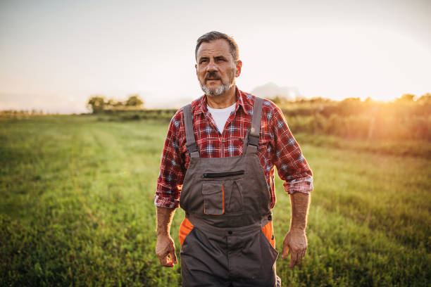 istock One senior rancher in the field 1252720556