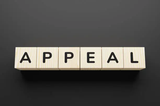 Photo of APPEAL word on a wooden blocks.
