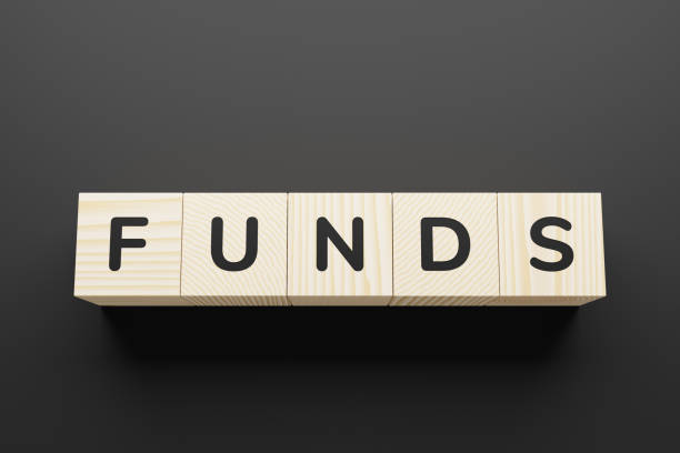 istock FUNDS word on a wooden blocks. 1252722036
