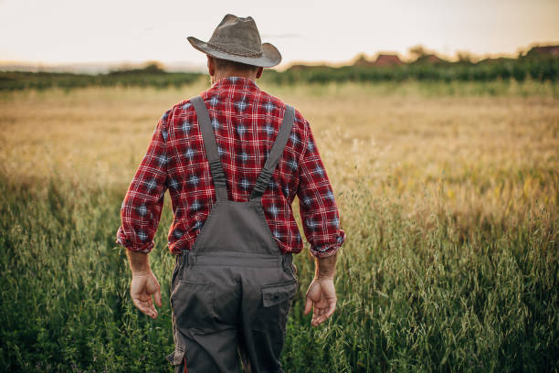 istock Farm worker in the field 1252724248