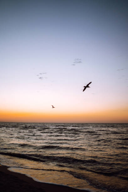 istock The sea on beautiful sunset, seascape. 1252736045