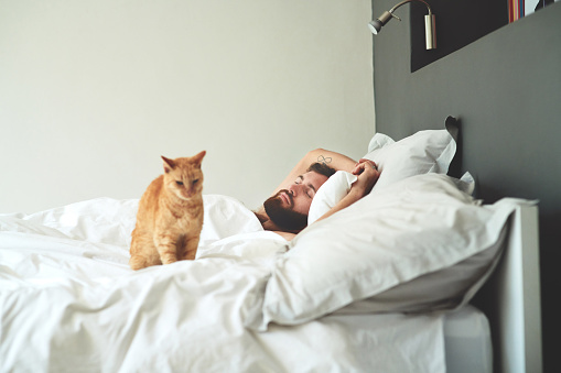 Shot of a young man sleeping peacefully in bed with his cat next to him