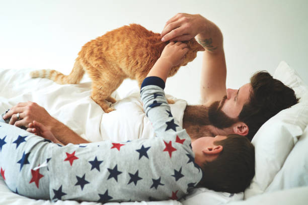 Shot of an adorable little boy and his father petting their cat on the bed in the morning