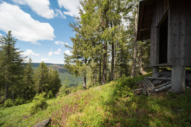 istock cottage in the wood 1252736951