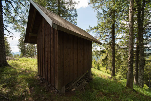 istock cottage in the wood 1252737494