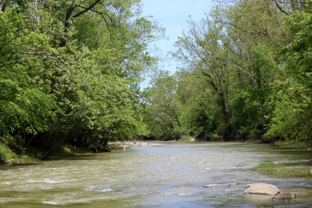 istock Flowing Water of Stream 1252738105