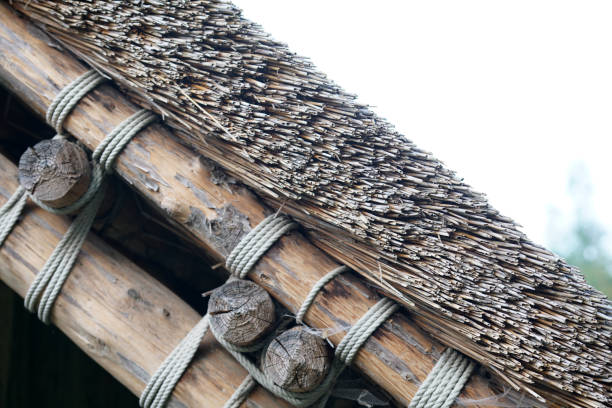 A view from below of a straw thatch roof supported by wooden beams, showing rustic ceiling craftsmanship.